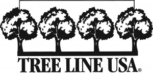 TREE LINE USA_BW